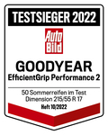 Goodyear EfficientGrip Performance 2 in 215/55 R 17